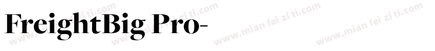 FreightBig Pro字体转换
